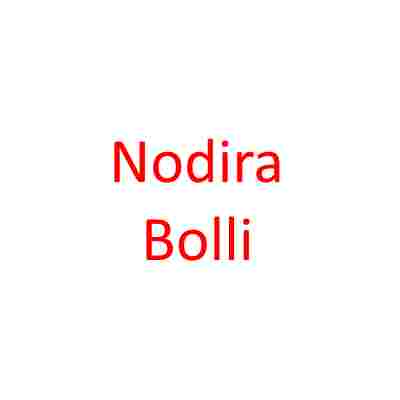 دانلود آهنگ Nodira به نام Bolli