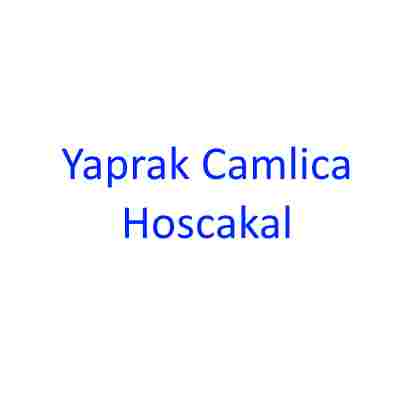 دانلود آهنگ Yaprak Camlica به نام Hoscakal