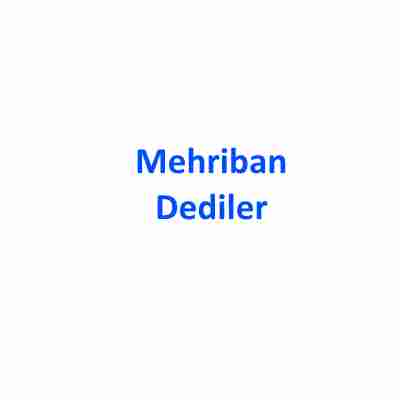 دانلود آهنگ Mehriban به نام Dediler