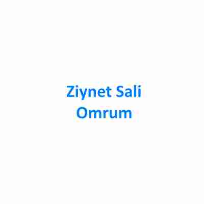 دانلود آهنگ Ziynet Sali به نام Omrum