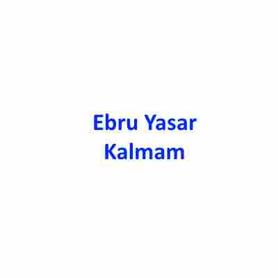 دانلود آهنگ Ebru Yasar به نام Kalmam