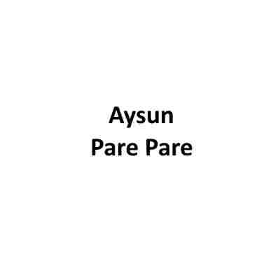 دانلود آهنگ Aysun به نام Pare Pare