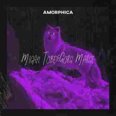 دانلود آهنگ آمورفیکا میگن توبه ی گرگ مرگه