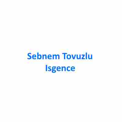 دانلود آهنگ Sebnem Tovuzlu به نام Isgence