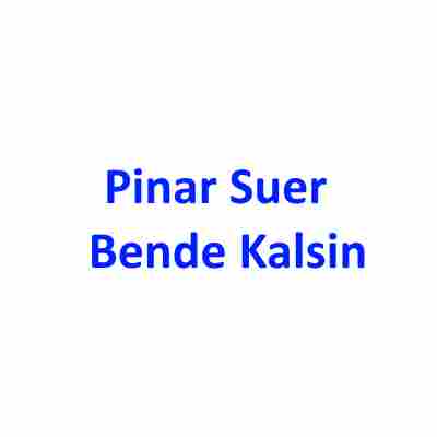 دانلود آهنگ Pinar Suer به نام Bende Kalsin