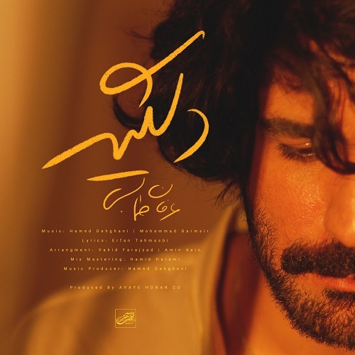 دانلود آهنگ جدید عرفان طهماسبی بنام دلگیر