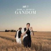 دانلود آهنگ جديد مسیح و آرش AP گندم دانلود آهنگ جديد مسیح و آرش AP گندم