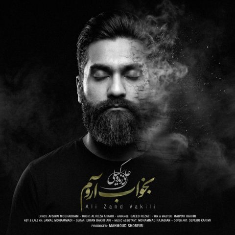 دانلود آهنگ جدید علی زند وکیلی به نام بخواب آروم دانلود آهنگ جدید علی زند وکیلی به نام بخواب آروم